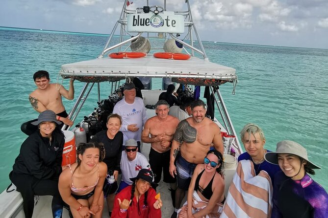 2 Tank Morning Dive: Scuba Diving in Cozumel - Second session: shallower water and more fish