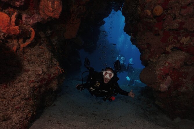 2 Tank Morning Dive: Scuba Diving in Cozumel - Who should book this trip