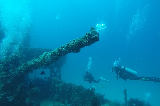 2 Tank Reef Dive in Mexico - Two reef sessions, not a classroom lesson