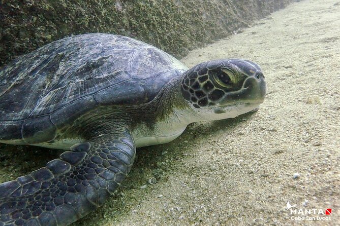 2-Tank Scuba in Marine Reserve and Corridor for Certified Divers - Weather, visibility, and the limits of marine life