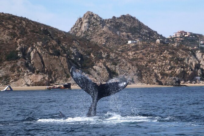 2-Tank Scuba in Marine Reserve and Corridor for Certified Divers - Booking details and cancellation terms