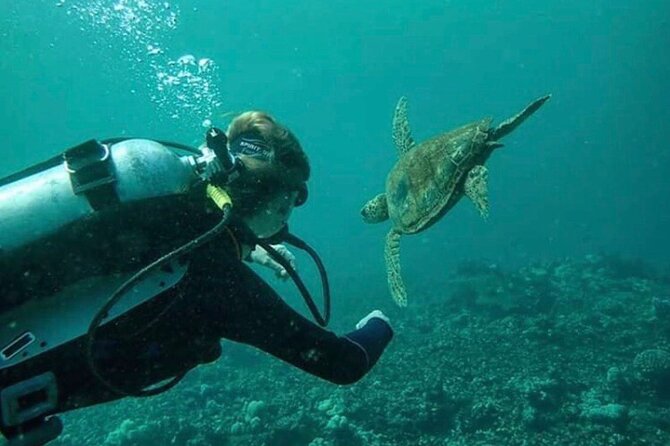 2 Tank Shore Dive at Sea Turtle Cove - Getting ready with supplied equipment