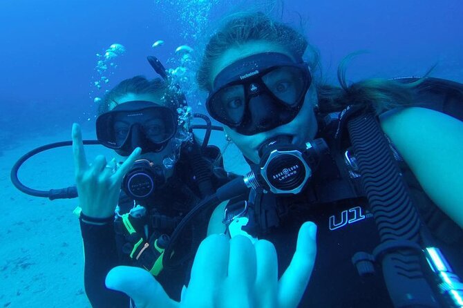 2 Tank Shore Dive at Sea Turtle Cove - What you may see below the surface