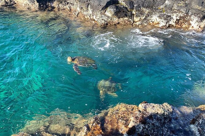 2 Tank Shore Dive at Sea Turtle Cove - Important plans after your scuba session