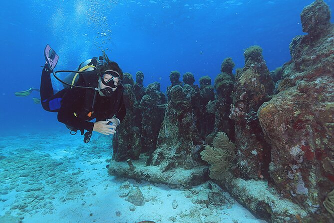 2 Tanks Dives Cancun Underwater Museum for Certified Divers - Why MUSA makes this Cancun outing different