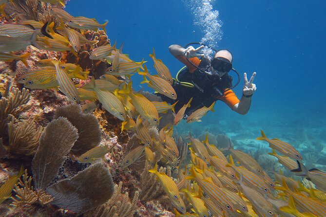 2 Tanks Dives Cancun Underwater Museum for Certified Divers - Handling the boat ride and seasickness