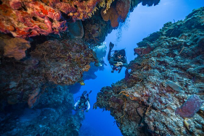 2 Tanks dives for Certified Divers in Cozumel - The surface break and light lunch