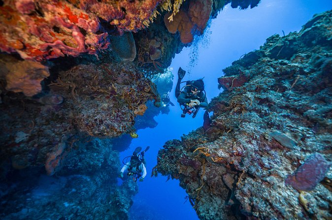 2 Tanks dives for Certified Divers in Cozumel - A second reef for a different view