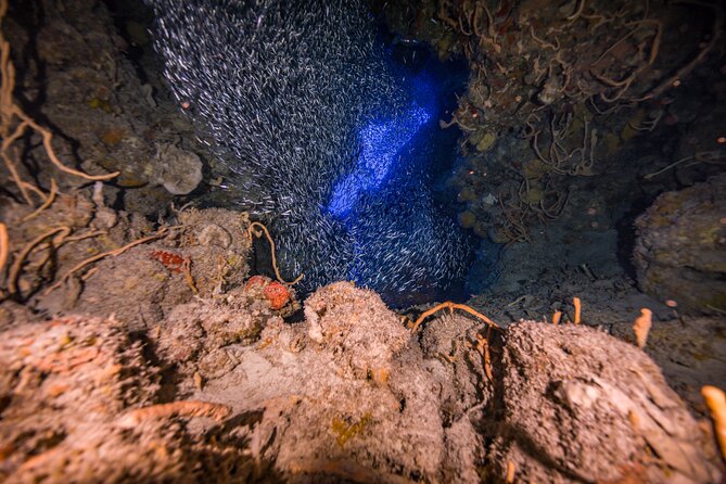 2 Tanks dives for Certified Divers in Cozumel - The small boat and guide attention