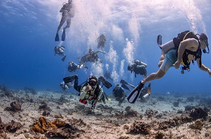 2 Tanks dives for Certified Divers in Cozumel - What the experience costs in time and value