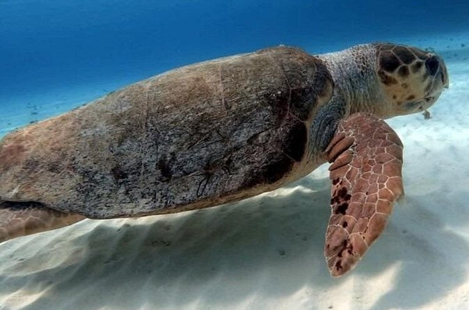 2 tanks for certified divers - The crew’s strengths and limits