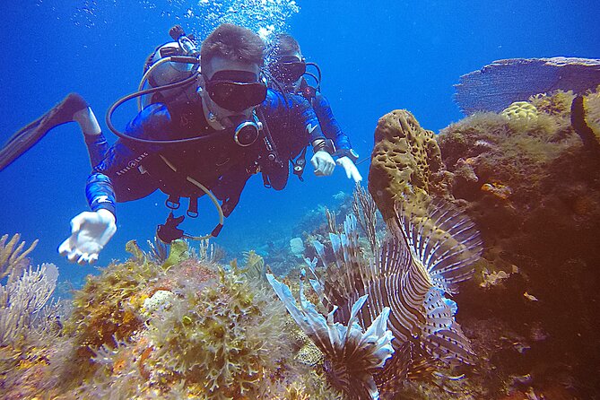 2 Tanks Scuba Diving in Punta Cancun Reefs for Certified Divers - Two reefs, one compact Punta Cancun outing