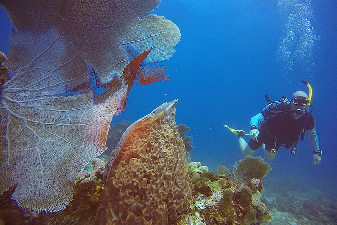 2 Tanks Scuba Diving Wreck and Reef in Cancun for Certified Divers - Health rules, gear, and what to bring