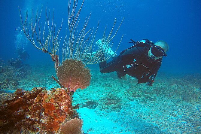 2 Tanks Scuba Diving Wreck and Reef in Cancun for Certified Divers - Who will get the most from this outing