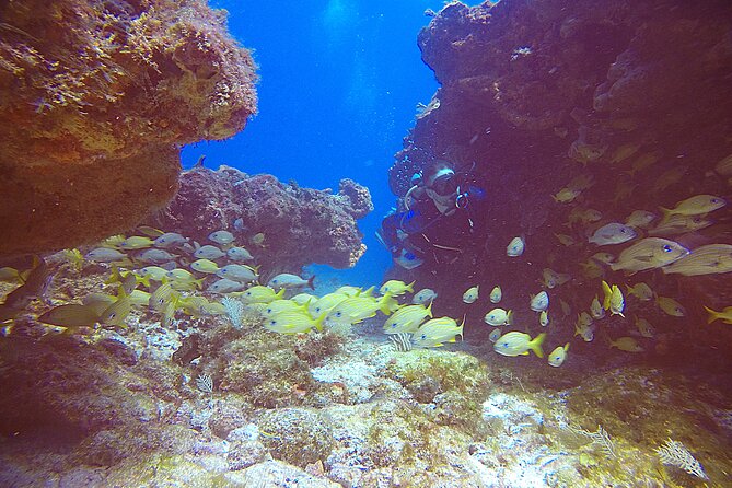 2 Tanks Scuba Diving Wreck and Reef in Cancun for Certified Divers - Booking, cancellation, and weather notes