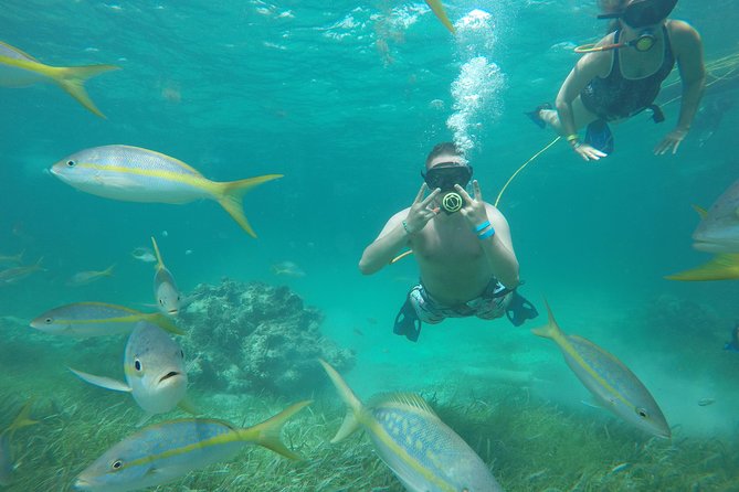 3 ADVENTURES: Sailing Catamaran Cruise - Hooka Diving - Snorkeling - What this Punta Cana catamaran afternoon is really like