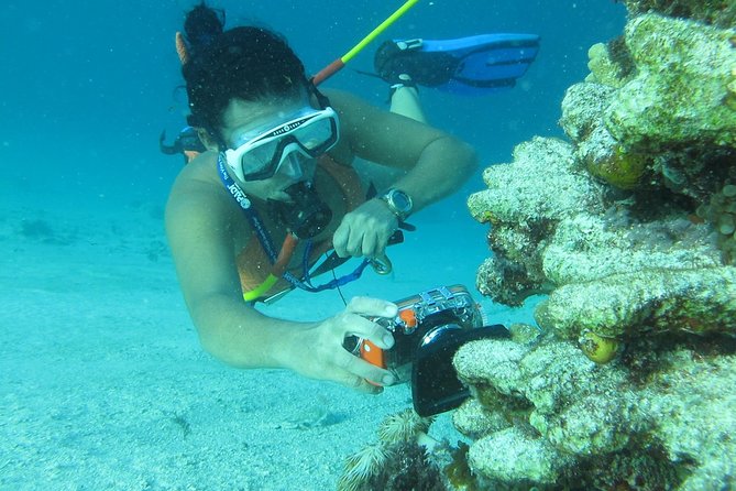 3 ADVENTURES: Sailing Catamaran Cruise - Hooka Diving - Snorkeling - Snorkeling near Bávaro’s coral reef