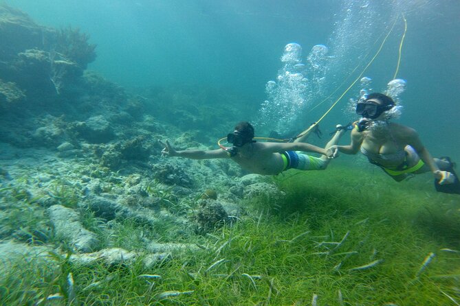 3 ADVENTURES: Sailing Catamaran Cruise - Hooka Diving - Snorkeling - Is $105 a fair price?