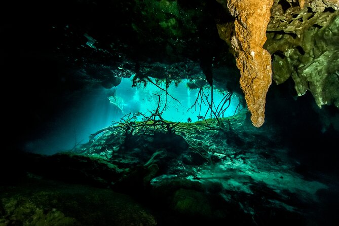3 Cenote Dives - Casa & Dos Ojos - Two sessions at Dos Ojos