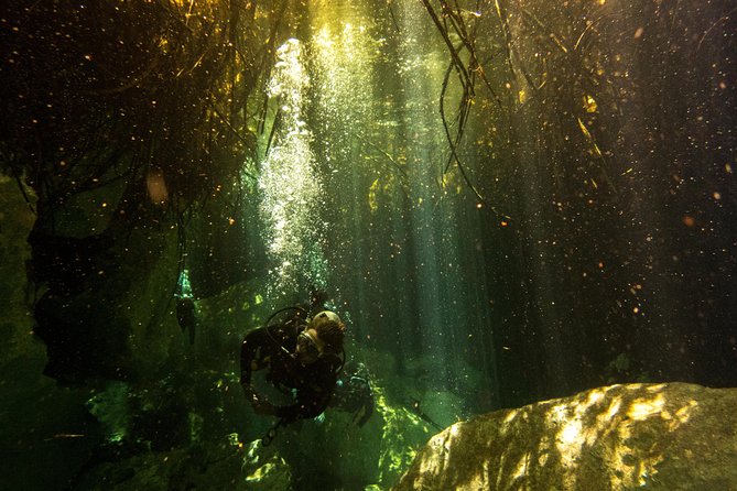3 Cenote Dives - Casa & Dos Ojos - Who will enjoy this experience most