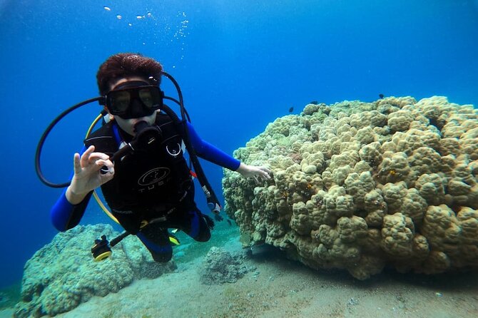 3-Day Open Water Scuba Diving Course in Aqaba - What the Nine Sessions Actually Mean