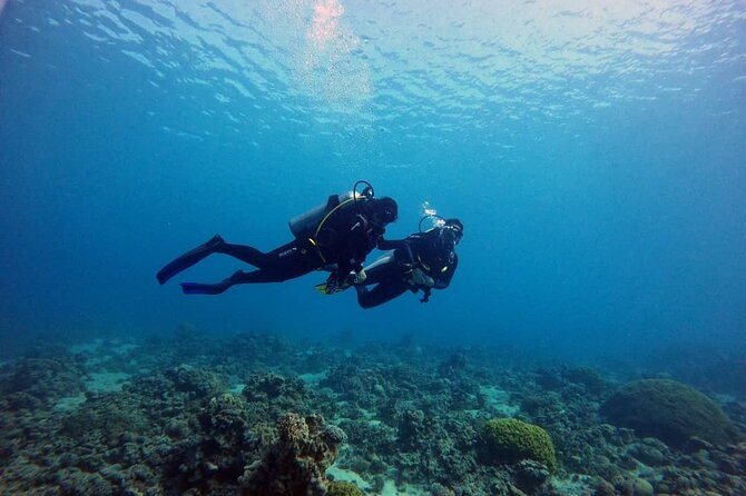 3-Day Open Water Scuba Diving Course in Aqaba - Is the $500 Price Fair?