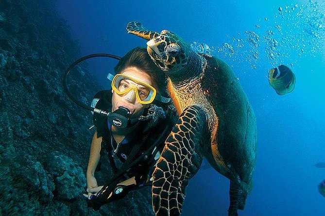 3-Day PADI Open Water Diving Course in Dubai - Your first 30 minutes: forms, fitting, and preparation