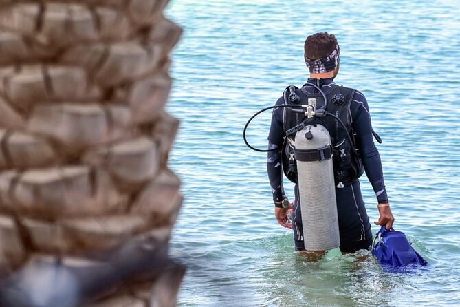 3-Day PADI Open Water Diving Course in Dubai - Who will get the most from this course