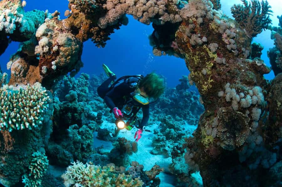3 Fun Dives for Certified diver at Racha Yai/Noi - Three underwater sessions around Racha Yai and Noi