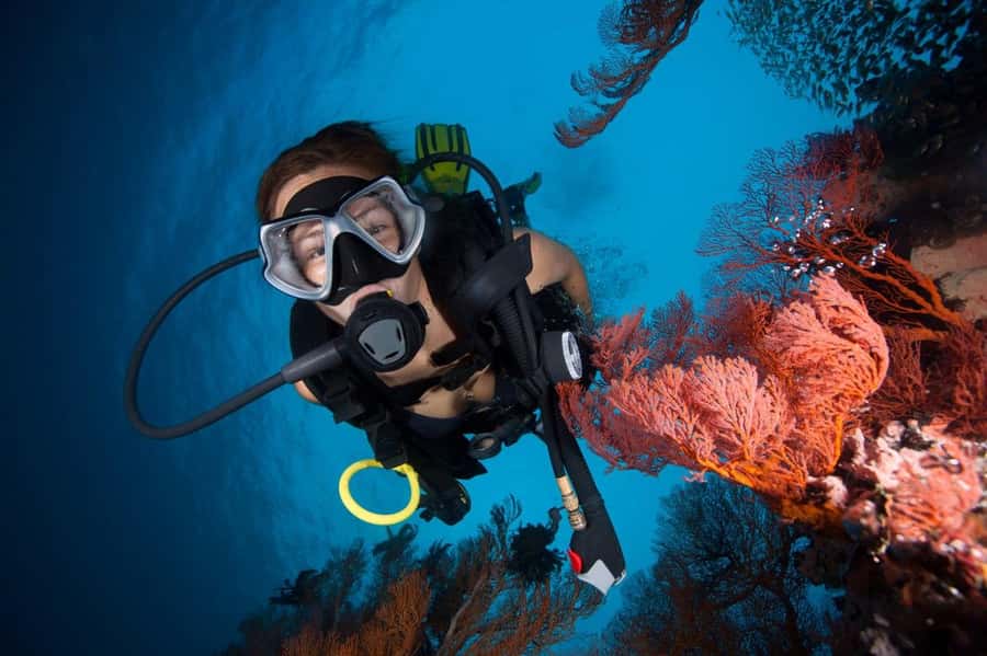 3 Fun Dives for Certified diver at Racha Yai/Noi - Breakfast, briefing, and the first session