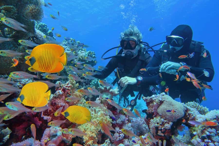 3 Fun Dives for Certified diver at Racha Yai/Noi - The boat ride back to Phuket