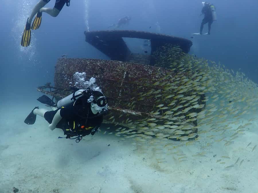 3 Fun Dives for Certified diver at Racha Yai/Noi - The early transfer from Phuket to Chalong