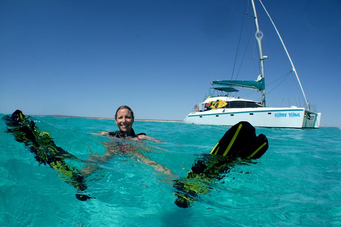3 Night Ningaloo Reef Snorkel and Dive Getaway from Coral Bay - Day 3: Flexible reef time and the best chance for variety