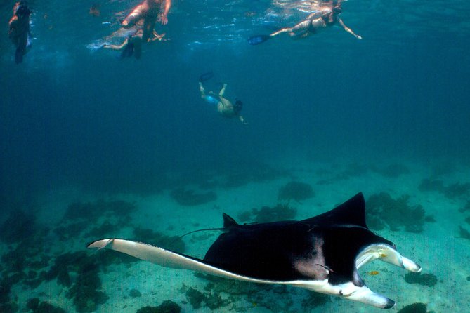 3 Night Ningaloo Reef Snorkel and Dive Getaway from Coral Bay - What the $2,366.90 price really covers