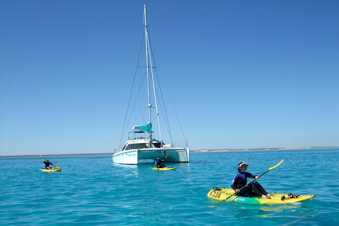 3 Night Ningaloo Reef Snorkel and Dive Getaway from Coral Bay - Food, equipment, and life aboard Shore Thing