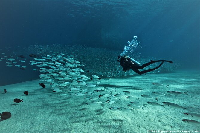 3-Tank Scuba in Marine Reserve and Corridor for Certified Divers - The Marine Park brings the local action