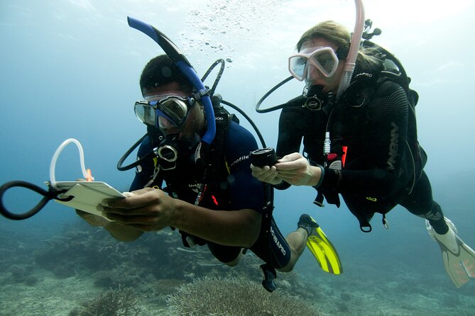 4 Day Certified PADI Open Water Scuba Diver in Dubai - Who should take this course