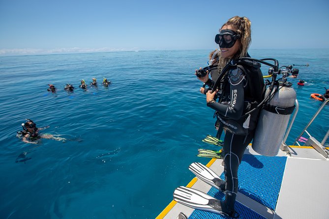 4-Day PADI Open Water Dive Course - Learn to Dive on the Great Barrier Reef - The PADI certificate and what it allows