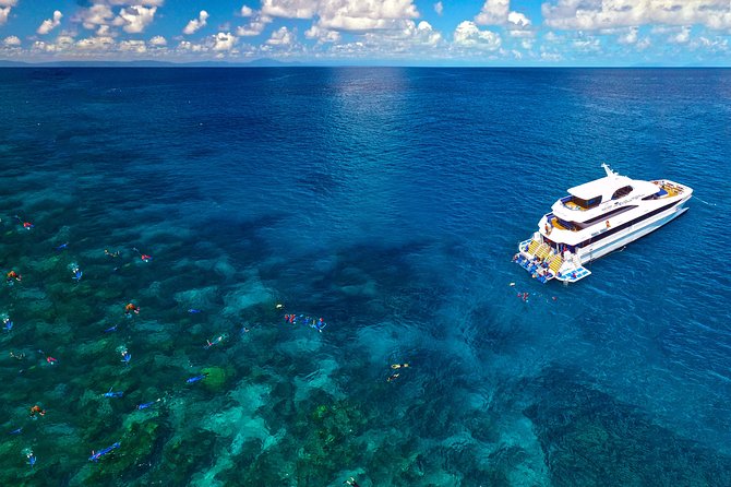 4-Day PADI Open Water Dive Course - Learn to Dive on the Great Barrier Reef - Health checks, age limits, and flight planning