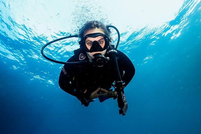 5 Fun Dives in Nusa Lembongan (for certified divers) - Swim with a Mola Mola - Mangrove Point adds a different setting