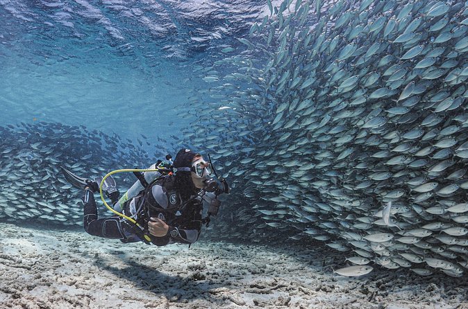 6 days unlimited diving - What the PADI 5 Star center means for you