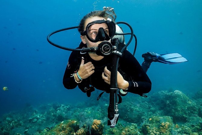 7 Fun Dives in Nusa Lembongan (for certified divers) - Premium Value Package - Mangrove Point and the character of the local sites