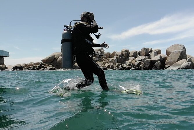 Acapulco Beginners Scuba Diving - Timing, weather, and the cancellation risk