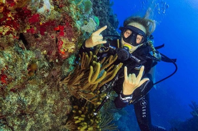 Advanced Open Water Diver - Bávaro - Instructors and group size