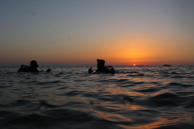 Adventure Dives for Certified Divers in Nea Makri, Athens - Key points to know before you book