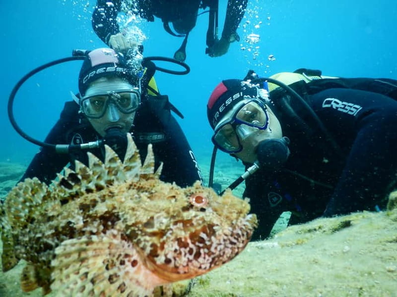 Agia Pelagia: Introduction to Scuba Diving (2 Dives) - Why Mononaftis Bay works for first-time scuba guests