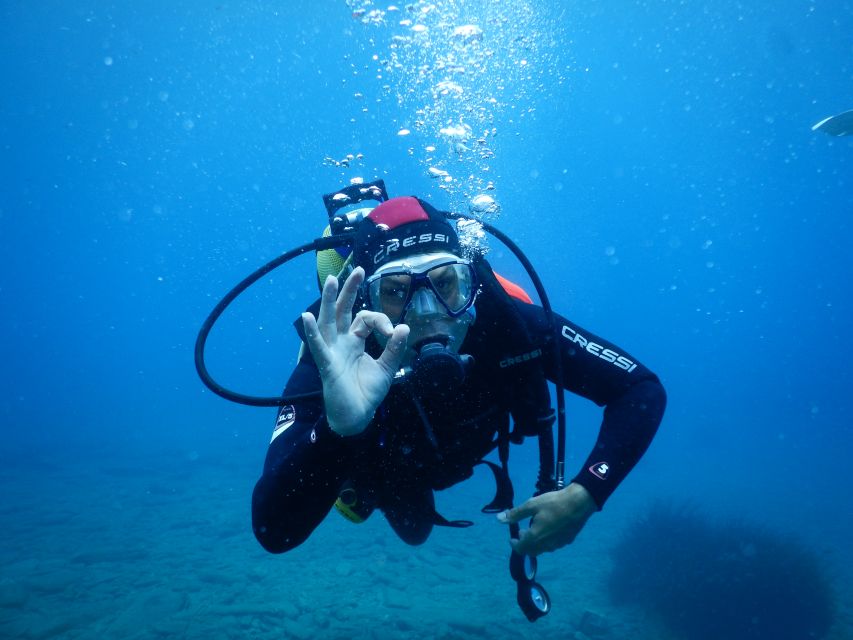 Agia Pelagia: Introduction to Scuba Diving Experience - A closer look at the schedule