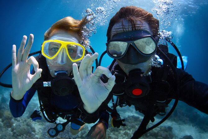 Alanya Scuba Diving Adventure: 2 Guided Dives with Lunch - Key points for your Alanya scuba day