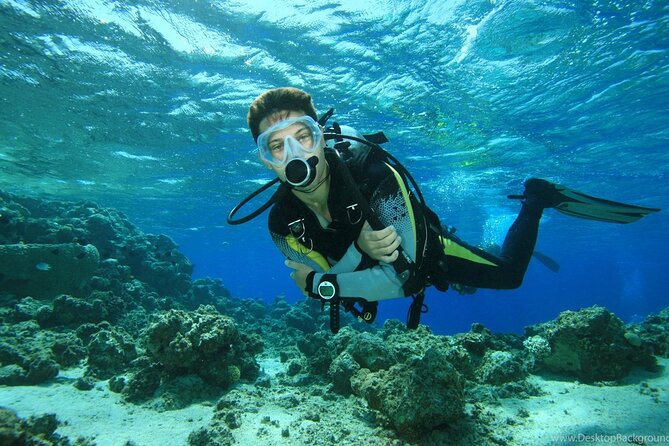 Alanya Scuba Diving Adventure: 2 Guided Dives with Lunch - Lunch between the sessions