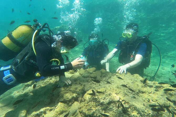Alanya Scuba Diving Adventure: 2 Guided Dives with Lunch - The second session: more swimming and about 7 meters